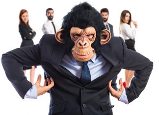 Angriff Geldpatrioten Paytrioten Abzocker Spenden Geld Paypal Abzocke